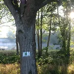 Hundeurlaub Im Tiny House Im Wald Tanna