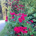 別荘 Hundeurlaub Im Tiny House Im Wald *