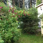 Hundeurlaub - Tiny House Im Wald * Tanna