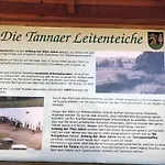 Hundeurlaub - Tiny House Im Wald