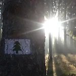 Hundeurlaub - Tiny House Im Wald Tanna
