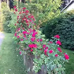 Hundeurlaub Im Tiny House Im Wald 別荘 Tanna