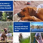 Hundeurlaub Im Tiny House Im Wald Tanna