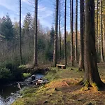 別荘 Hundeurlaub Im Tiny House Im Wald Tanna