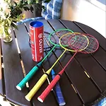 Hundeurlaub Im Tiny House Im Wald