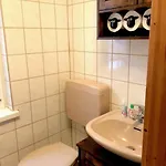 Hundeurlaub Im Tiny House Im Wald Tanna