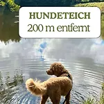 Hundeurlaub - Tiny House Im Wald * Tanna