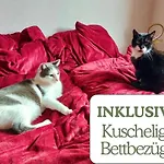 Hundeurlaub - Tiny House Im Wald