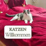 Casa vacanze Hundeurlaub - Tiny House Im Wald *