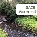 Hundeurlaub - Tiny House Im Wald