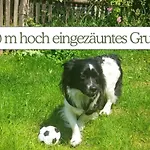 Casa vacanze Hundeurlaub - Tiny House Im Wald Tanna