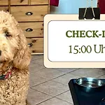 Hundeurlaub - Tiny House Im Wald Tanna