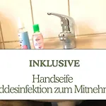 Hundeurlaub - Tiny House Im Wald *