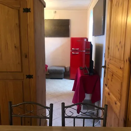 Hundeurlaub Im Tiny House Im Wald Tanna