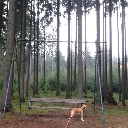 Hundeurlaub - Tiny House Im Wald *