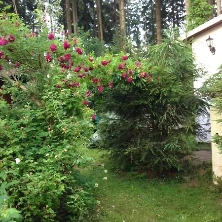 Hundeurlaub - Tiny House Im Wald * Tanna