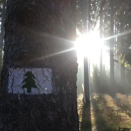 Hundeurlaub - Tiny House Im Wald Tanna