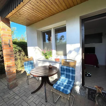 Hundeurlaub - Tiny House Im Wald