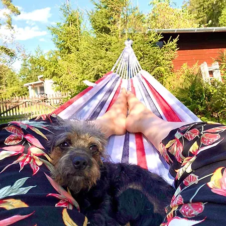 Hundeurlaub Im Tiny House Im Wald Tanna