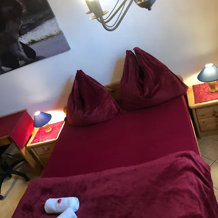 Hundeurlaub Im Tiny House Im Wald Holiday home
