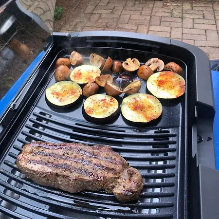 Hundeurlaub Im Tiny House Im Wald Vakantiehuis Tanna