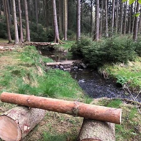 Hundeurlaub - Tiny House Im Wald
