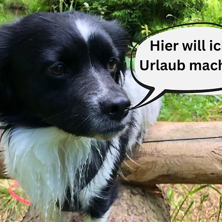 Holiday home Hundeurlaub Im Tiny House Im Wald *