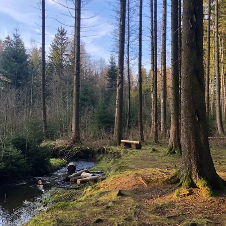 Vakantiehuis Hundeurlaub Im Tiny House Im Wald Tanna