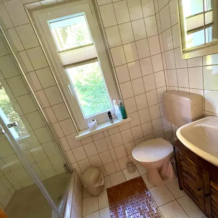 Hundeurlaub Im Tiny House Im Wald * Tanna