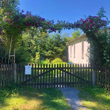 Hundeurlaub - Tiny House Im Wald
