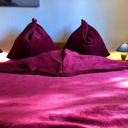 Hundeurlaub Im Tiny House Im Wald Vakantiehuis