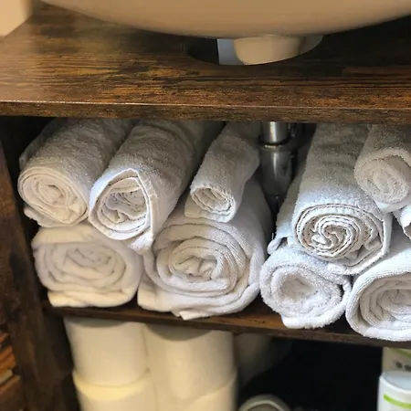 Hundeurlaub Im Tiny House Im Wald