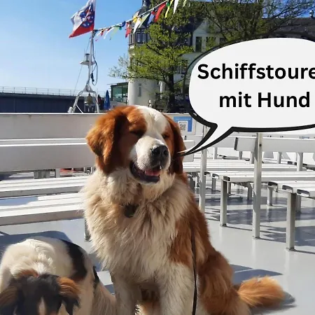 Vakantiehuis Hundeurlaub Im Tiny House Im Wald