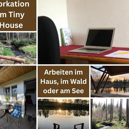 Hundeurlaub - Tiny House Im Wald Tanna