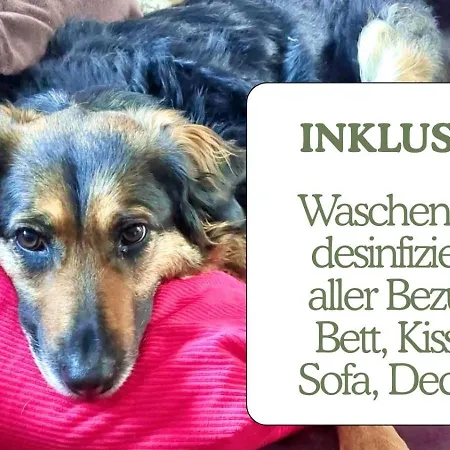 Hundeurlaub - Tiny House Im Wald