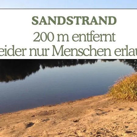 Hundeurlaub - Tiny House Im Wald *