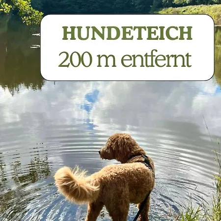Hundeurlaub - Tiny House Im Wald * Tanna