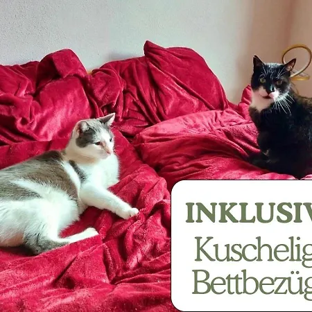 Hundeurlaub - Tiny House Im Wald