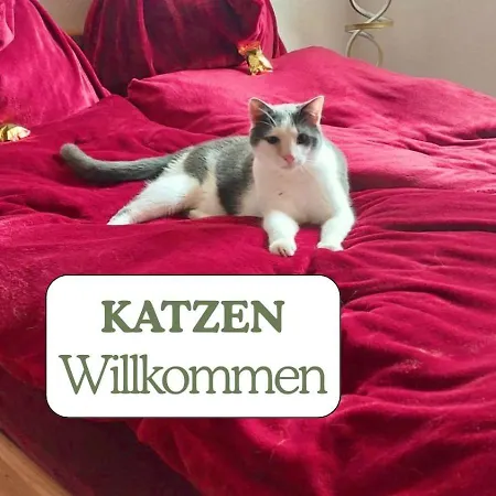 Tatil Evi Hundeurlaub - Tiny House Im Wald *