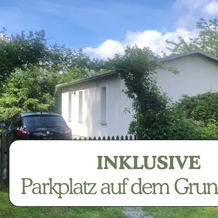 Hundeurlaub - Tiny House Im Wald Tanna