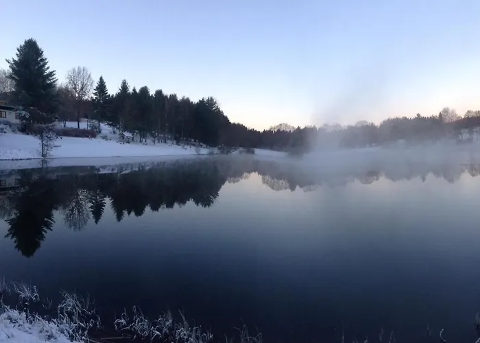 Hundeurlaub Im Tiny House Im Wald Vakantiehuis
