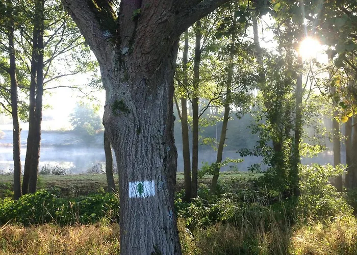 Hundeurlaub Im Tiny House Im Wald Tanna