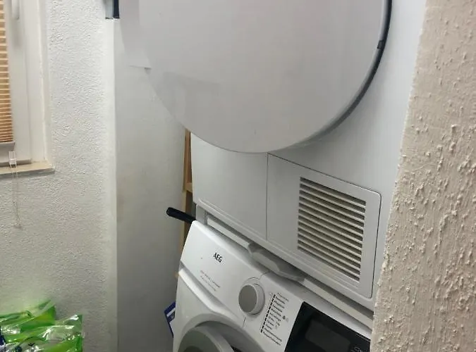 Hundeurlaub Im Tiny House Im Wald