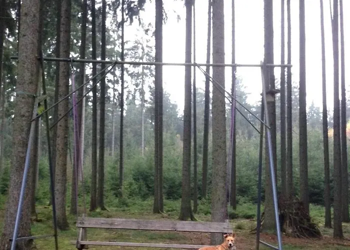 Hundeurlaub Im Tiny House Im Wald *