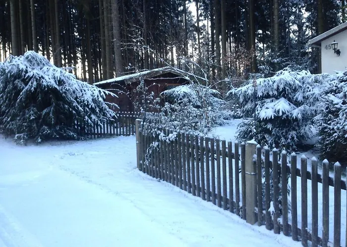 Vakantiehuis Hundeurlaub Im Tiny House Im Wald Tanna