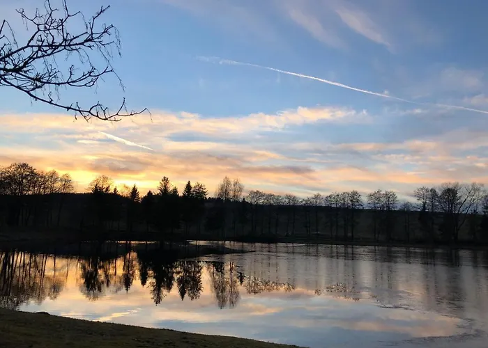 Hundeurlaub Im Tiny House Im Wald Vakantiehuis *