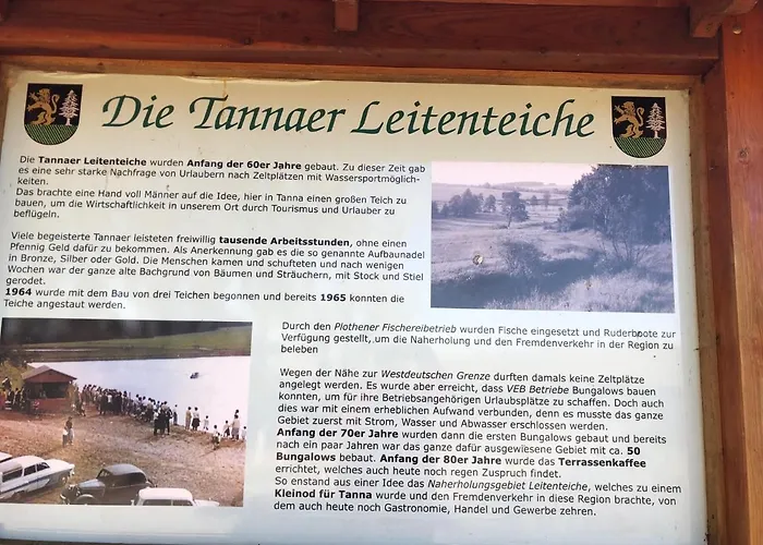 Hundeurlaub Im Tiny House Im Wald