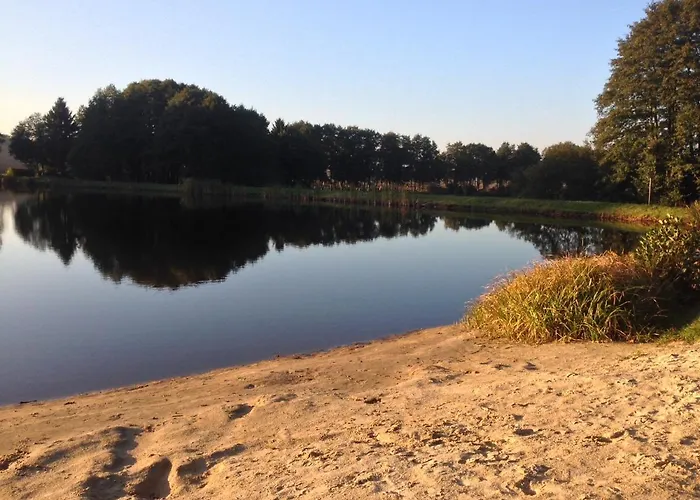 Hundeurlaub Im Tiny House Im Wald * Tanna