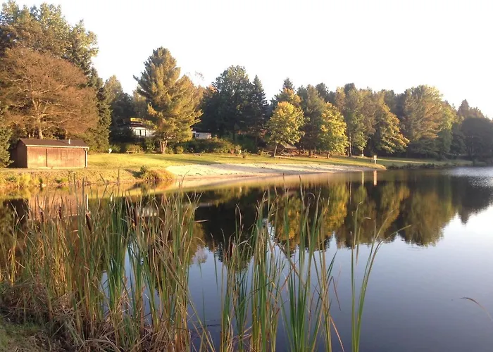 Hundeurlaub Im Tiny House Im Wald