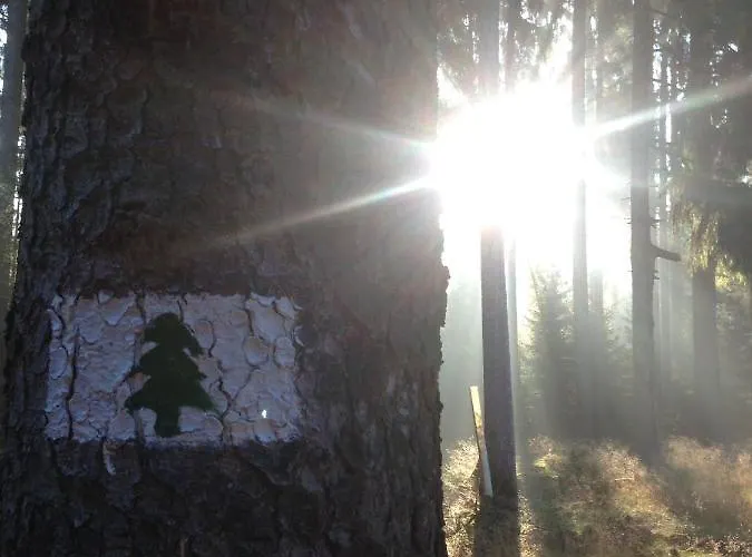 Hundeurlaub Im Tiny House Im Wald Tanna